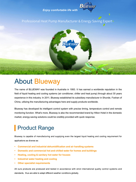 Blueway Company Introductie